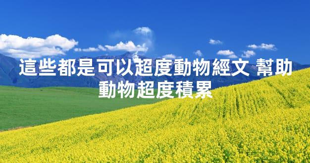 這些都是可以超度動物經文 幫助動物超度積累